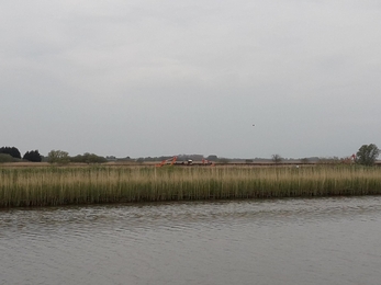View of diggers from Oulton Marshes