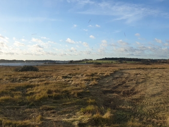 Estuary view from Levington Lagoon – Rachel Norman 