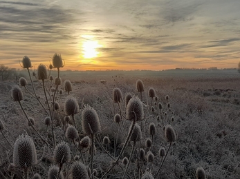 Frosty sunrise at Carlton Marshes - Gavin Durrant