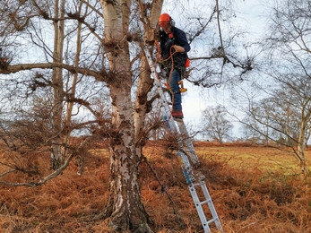 Warden Carl Ansell repairing and checking nest boxes at Sizewell Belts SSSI