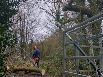 Tree safety work at Reydon Wood - Dan Doughty