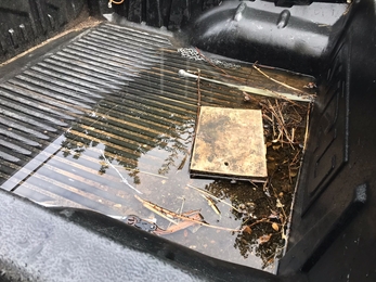 You know it's rained overnight, when a water vole raft is floating in the back of your truck! - Andy Hickinbotham 
