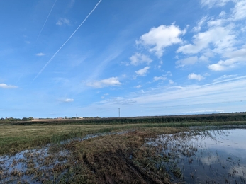 Island cutting and clearance at Hen Reedbeds aimed at creating ideal roosting and future breeding habitat for wading birds and ducks – Jamie Smith 