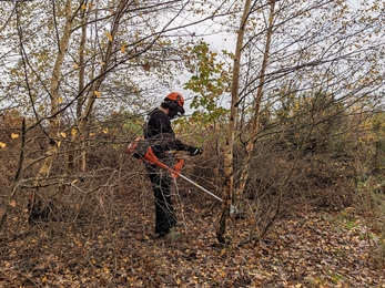 Clearing saw use and maintenance – Ella Broom 