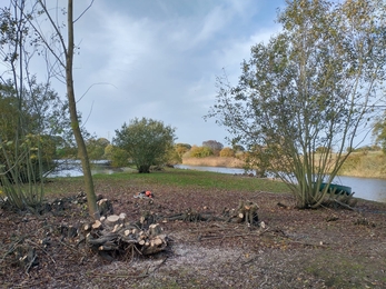 Willow coppicing on Lound Lakes island – Andrew Hickinbotham 