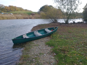 Willow coppicing on Lound Lakes island – Andrew Hickinbotham 