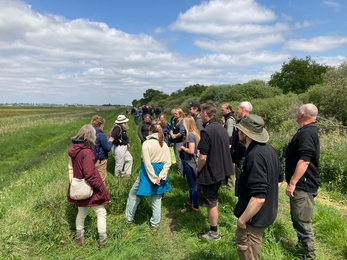 The conservation team made a visit to the Great Fen Project in Cambridgeshire, to see how their 100 year vision was unravelling. 
