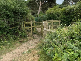 Gates cleared of vegetation to make access easier around Lound - Andy Hickinbotham 
