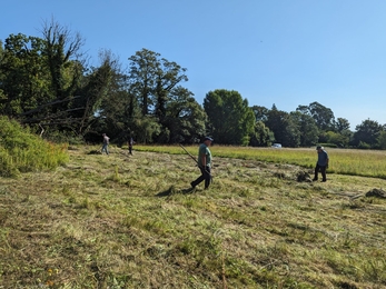 Our brilliant heaths and meadows volunteer team raking and a forking the more species rich, wetter area at Hutchisons meadow.  The rest of the meadow will be grazed by our sheep flock – Ella Broom 