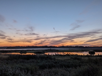 Trimley Marshes sunrise – Ella Broom 