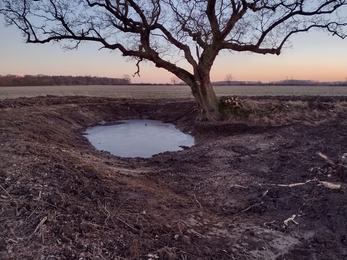A landscape view of a newly dug pond by a tree with a sunset in the background