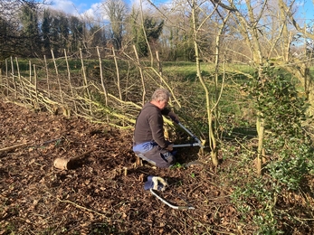 Volunteer Glyn in the foreground knelt on the floor cutting a hedge branch to lay 