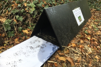 Hedgehog footprint survey