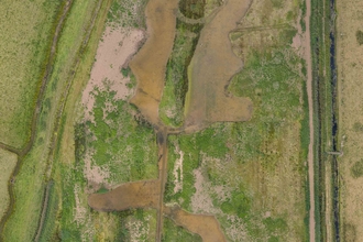 Share Marsh drone image