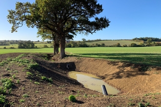 Restoring a ghost pond on Shimpling Park Farm