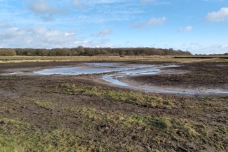 Scrape at Snape Marshes - Andrew Excell