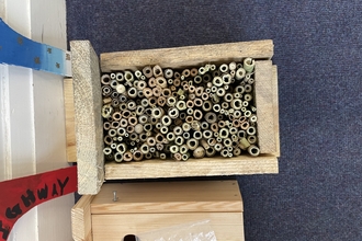 invertebrate house perfect for solitary bees and other invertebrates