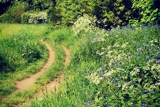 Spring at Martlesham Wilds, Jessica Ratcliff