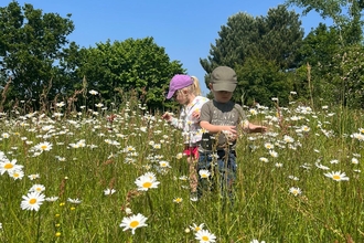 Children in oxeye daisies - Wild Tots - Faye A