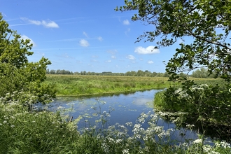 body of water at Worlingham Marshes