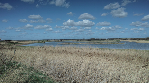 Trimley Marshes Suffolk Wildlife Trust