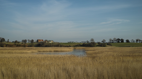 Hen Reedbeds nature reserve Suffolk Wildlife Trust