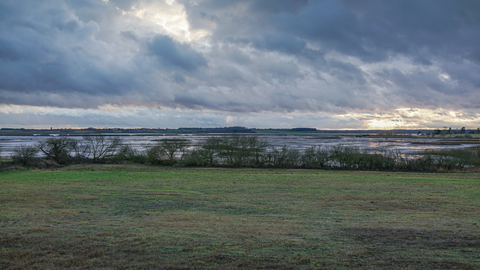 Hazlewood Marshes nature reserve Suffolk Wildlife Trust