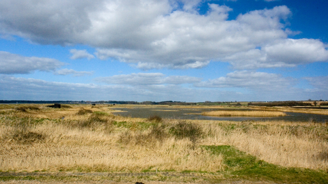 trimley marshes nature reserve Suffolk Wildlife Trust