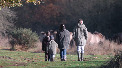 A family walking at Redgrave & Lopham Fen in Suffolk