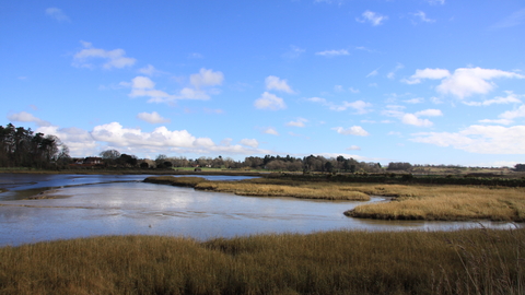 A blue sky with scattered clouds over looking low tides at martlesham wilds