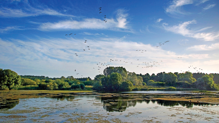 Lackford Lakes Suffolk Wildlife Trust
