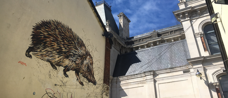 Hedgehog mural in Ipswich town centre by ATM