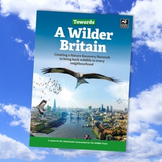 Nature Recovery Network report cover A Wilder Britain