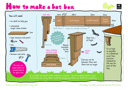 How to make a bat box illustration