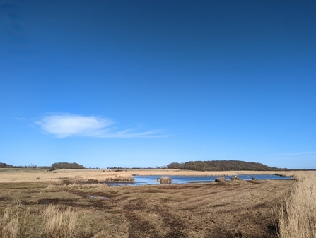 Softrak habitat work at Dingle Marshes – Jamie Smith