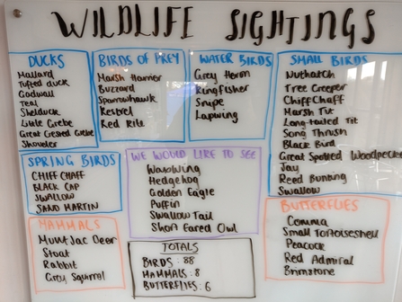 Wildlife sightings board - April 2nd 2022