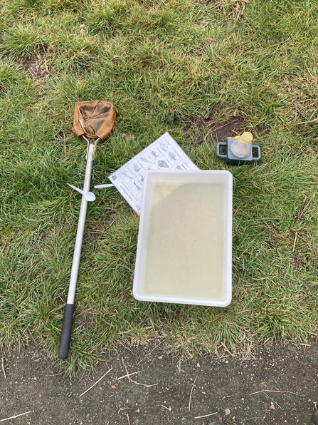Pond dipping for school visits