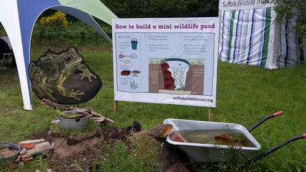 Wildlife Pond stand -  Suffolk show news story