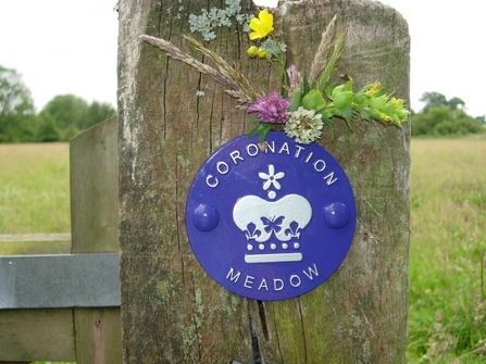 The Coronation Meadow plaque at Suffolk Wildlife Trust's Martin's Meadow