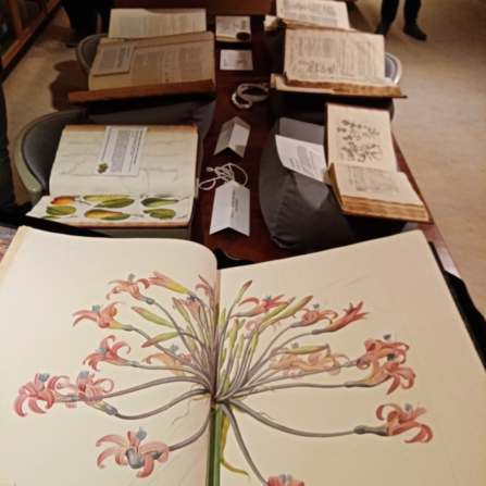 Level 4 Botanical Illustration Course - Trip to the archives