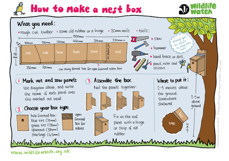 How to make a nest box activity sheet