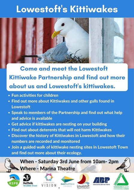 Kittiwake event Poster
