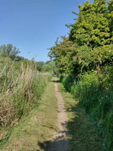 Finishing the latest round of path cuts at Carlton/Oulton Marshes – Lewis Yates 