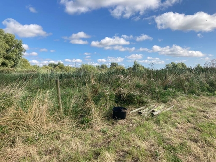 Fixing a stretch of fencing at Castle Marshes – Frances Lear 