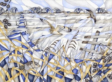 A pencil drawing with wintery colours of blue, gold and grey, depicting a wild, windy landscape with reeds, birds of prey, and an otter.