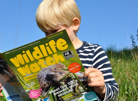 Boy reading Wildlife Watch