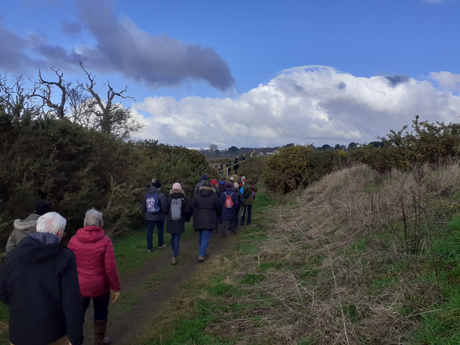Martlesham Wilds discovery walk, Charlie Zakss