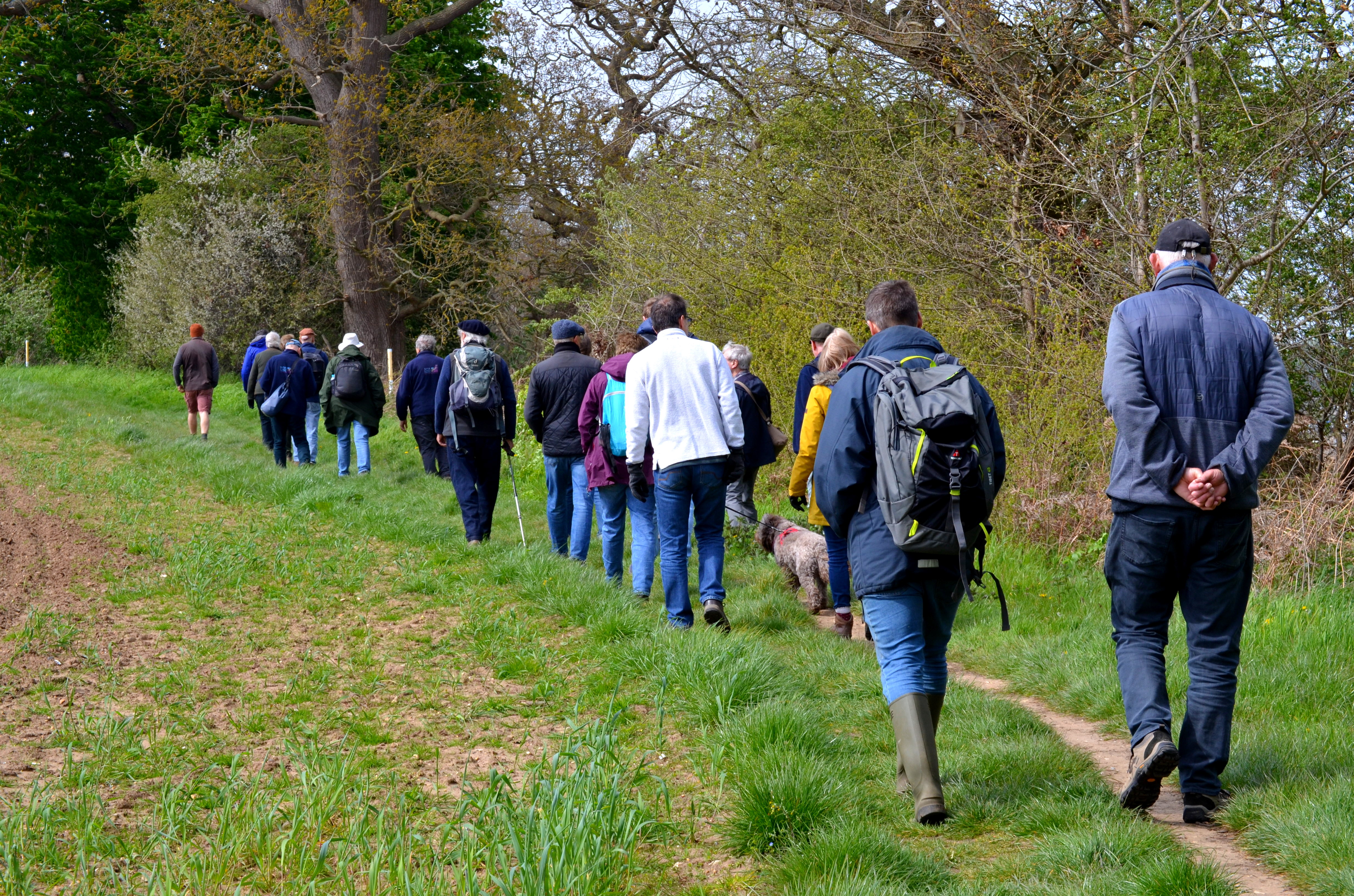 ANOB volunteers walking at Martlesham Wilds