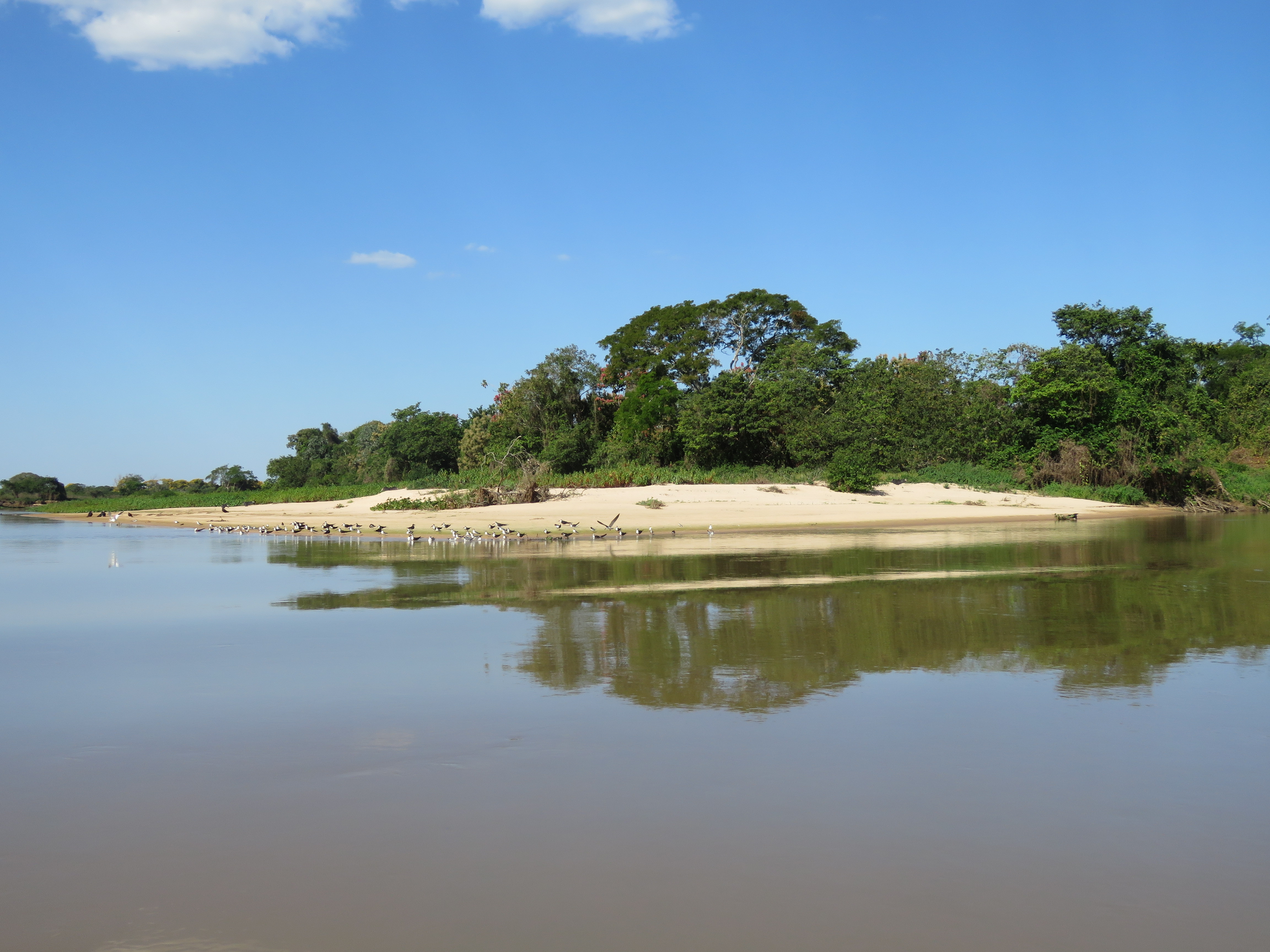 the Pantanal courtesy of Ian Barthorpe