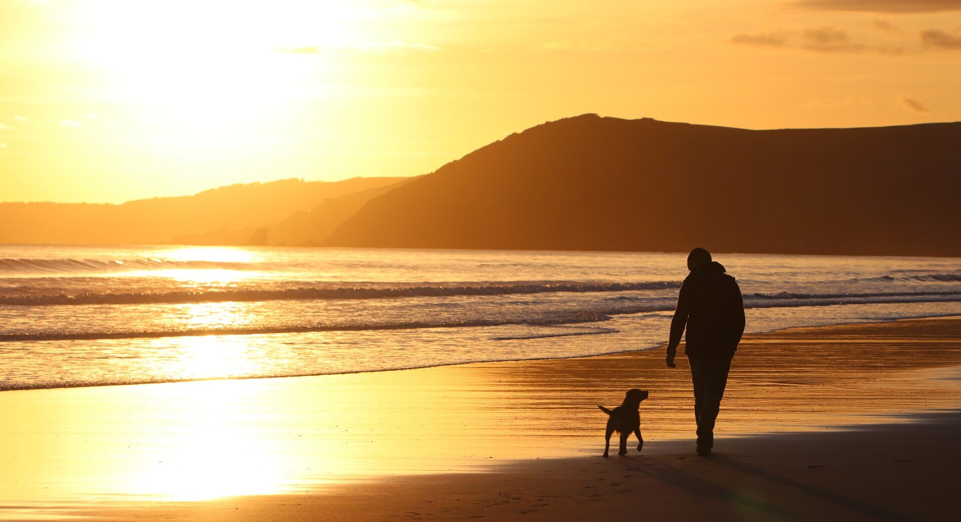 Beach walk with dog